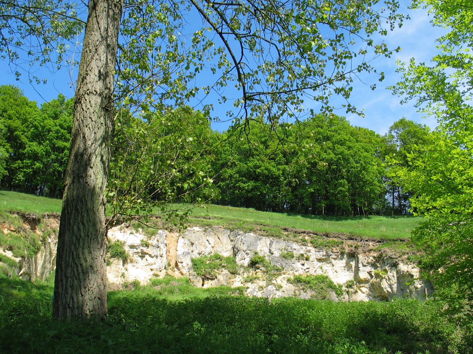 Koeberg