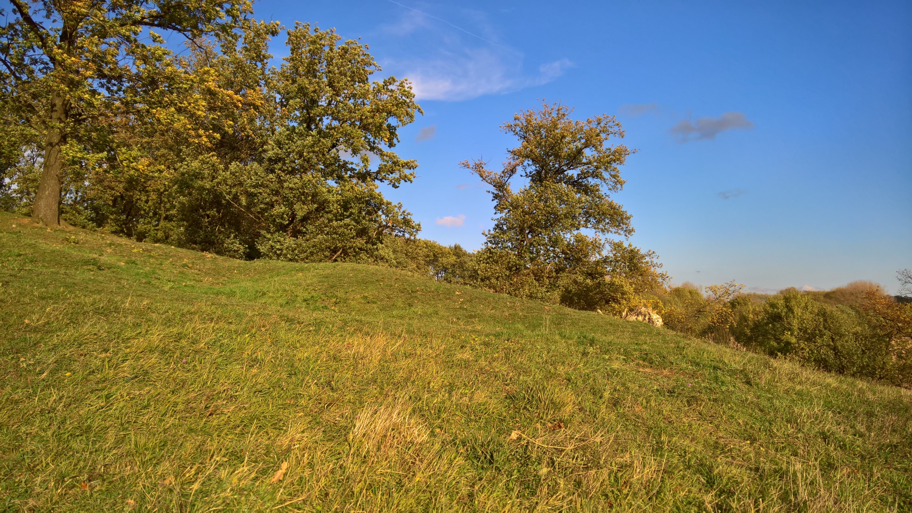WP_20171104_14_30_53_Pro
