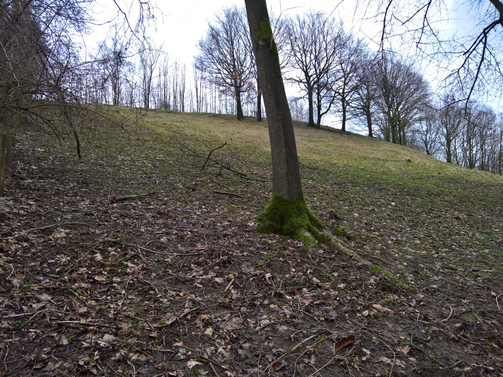 WP_20180122_15_58_44_Rich