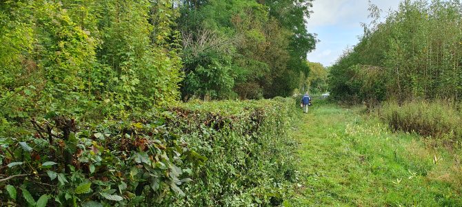 Eerste zaterdag werkgroep in actie bij Klimaatbos